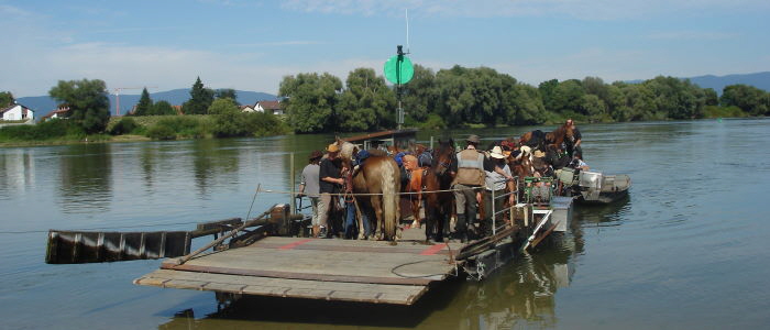 Donauberquerung Fhre Stephansposching